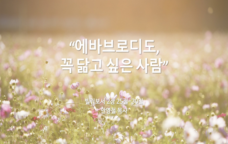 Read more about the article ” 에바브로디도, 꼭 닮고 싶은 사람 “