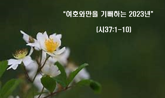 Read more about the article ” 여호와만을 기뻐하는 2023 “