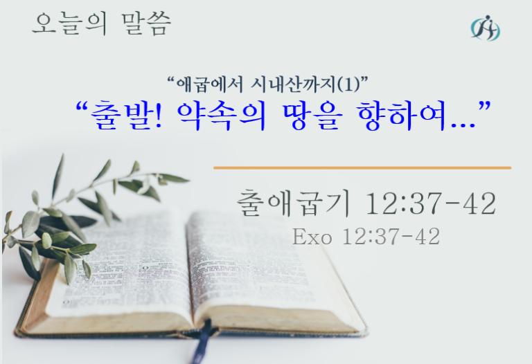 Read more about the article 애굽에서 시내산까지 (1)” 출발! 약속의 땅을 향하여… “ 020424