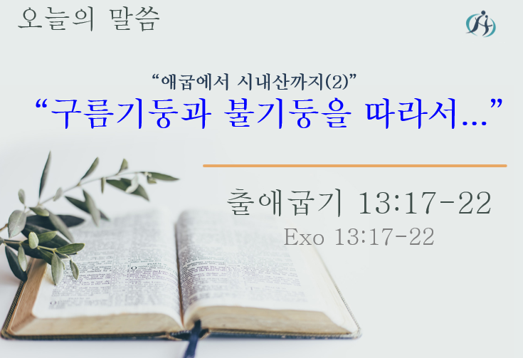 Read more about the article 애굽에서 시내산까지 (2)” 구름기둥과 불기둥을 따라… “ 021124