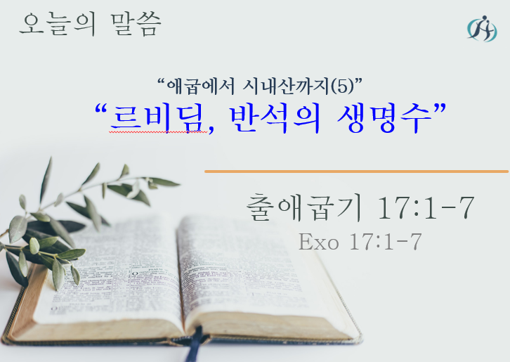 Read more about the article 애굽에서 시내산까지 (5)” 르비딤, 반석의 생명수 “ 030324